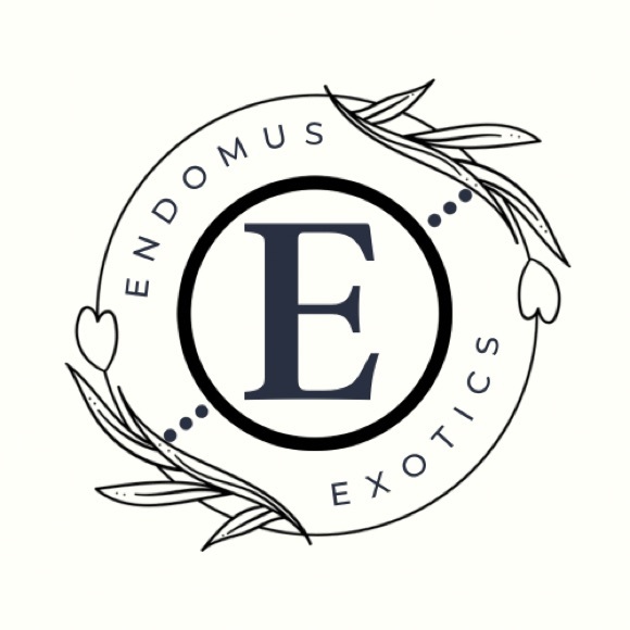 endomus